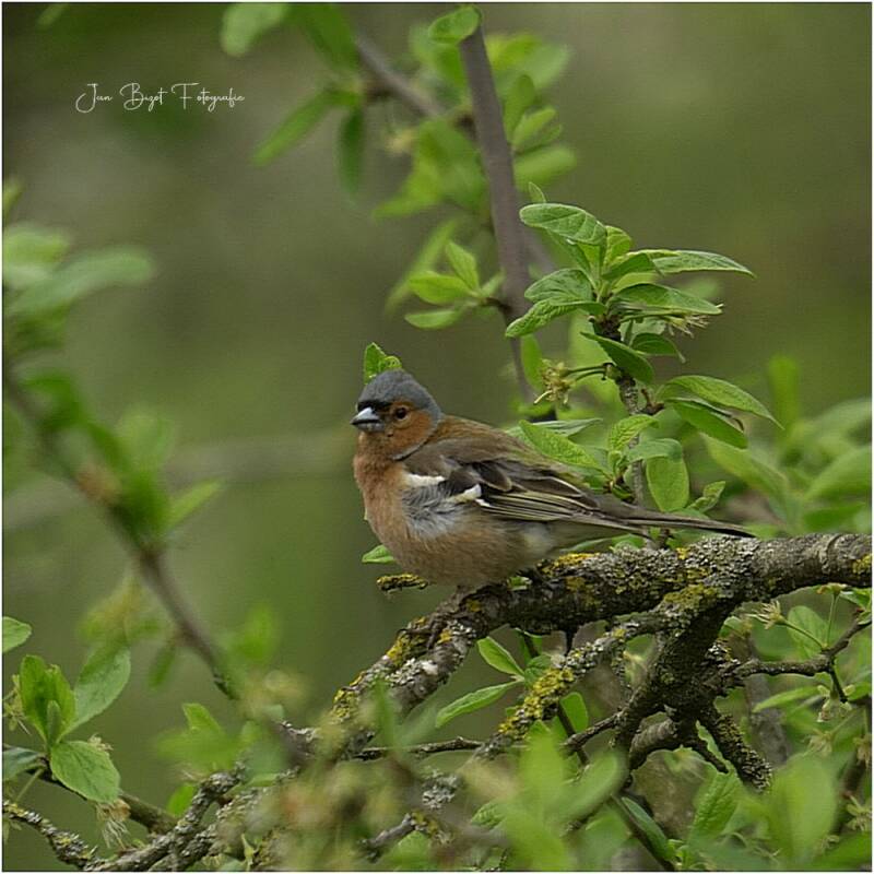 vink16-4-2026-1-standard.jpg