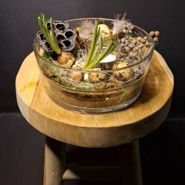 Schaal opgemaakt in voorjaar