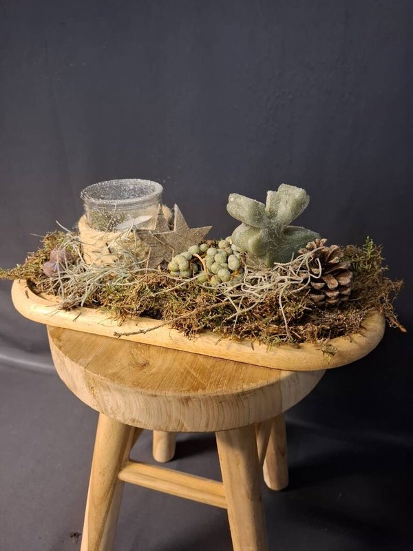 Schaal opgemaakt met groen rendierkaars