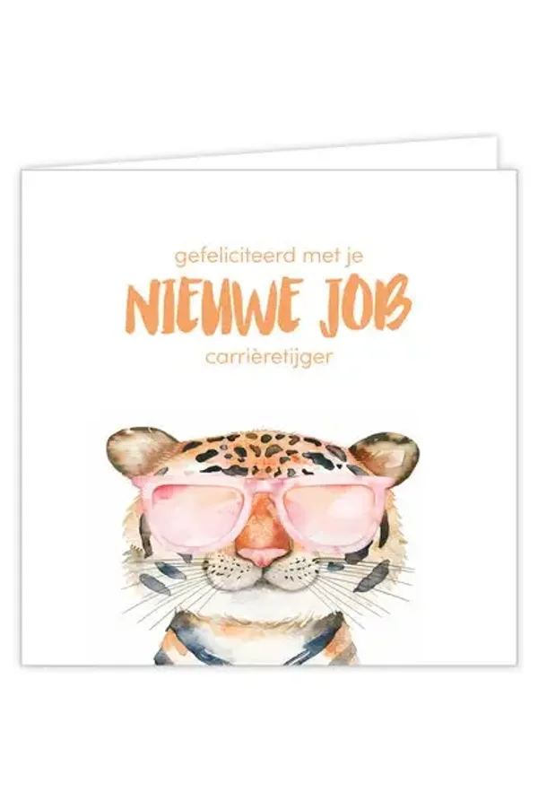 Nieuwe job
