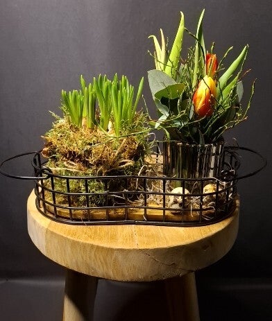 IJzerendienblad opgemaakt tulpen & blauwe druifjes