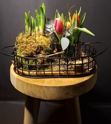 IJzerendienblad opgemaakt tulpen & naricissen