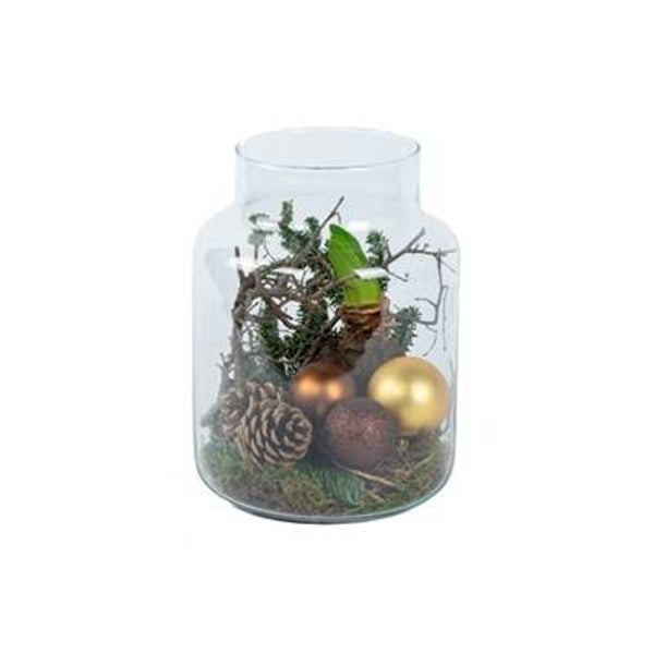 Amaryllis in glas (goud)