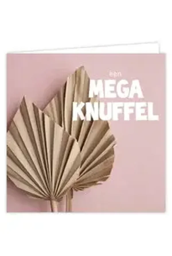 Een mega knuffel