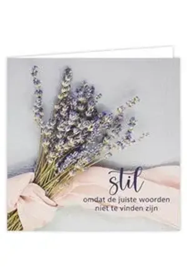 Stil, omdat de juiste woorden niet te vinden zijn