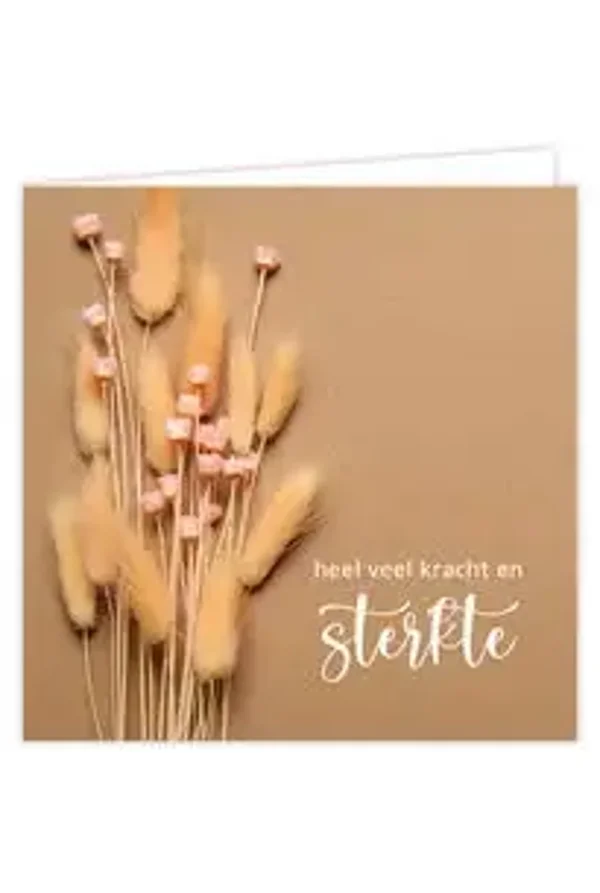 Heel veel kracht en sterkte