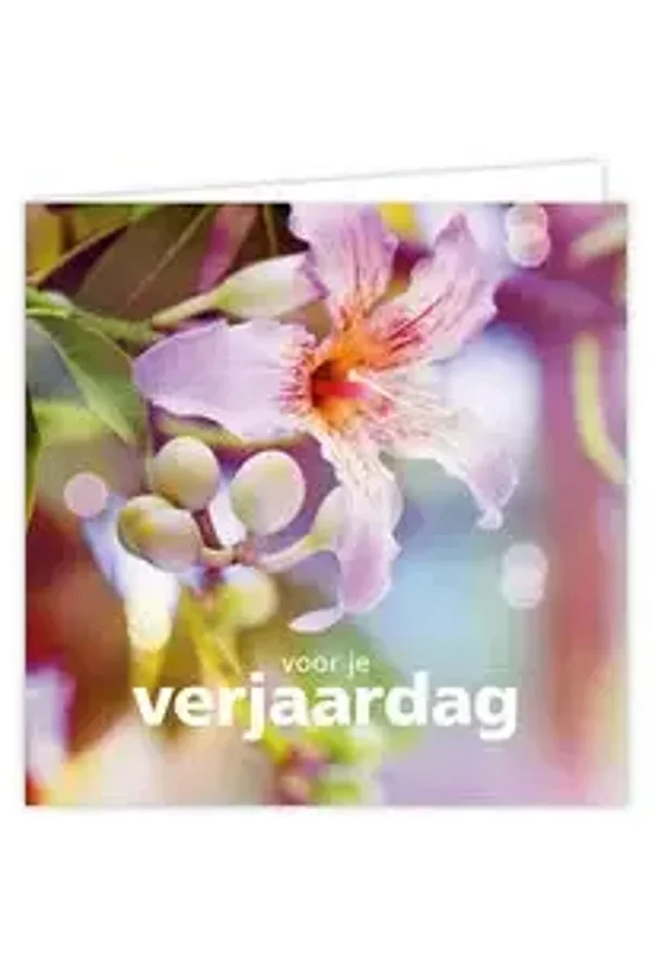 Voor je verjaardag