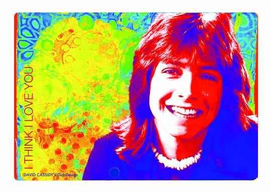 David Cassidy, I think I love you