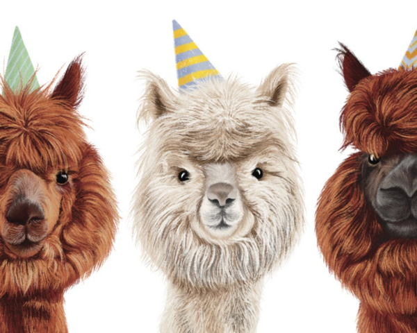 AlpaCadeaubon (post)