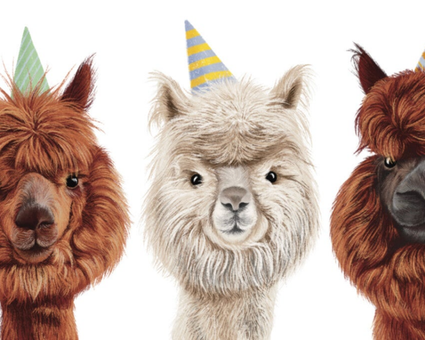 AlpaCadeaubon (digitaal)