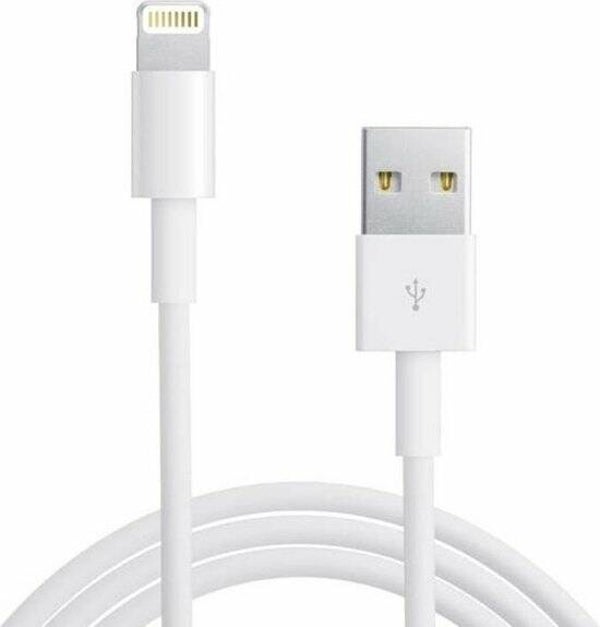 Apple Lightning to USB Cable 2m