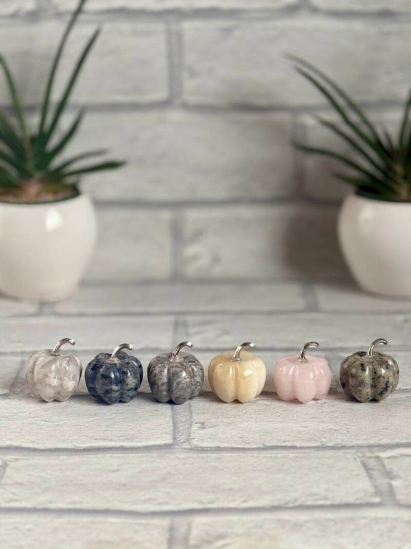 Pumpkin Carvings ✨