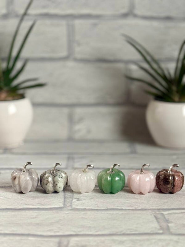 Pumpkin Carvings ✨