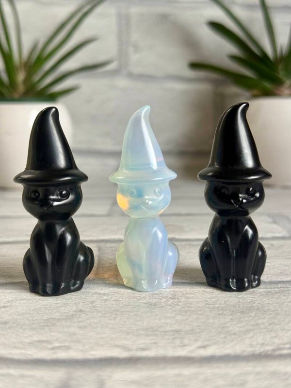 Witch Cat Carvings ✨