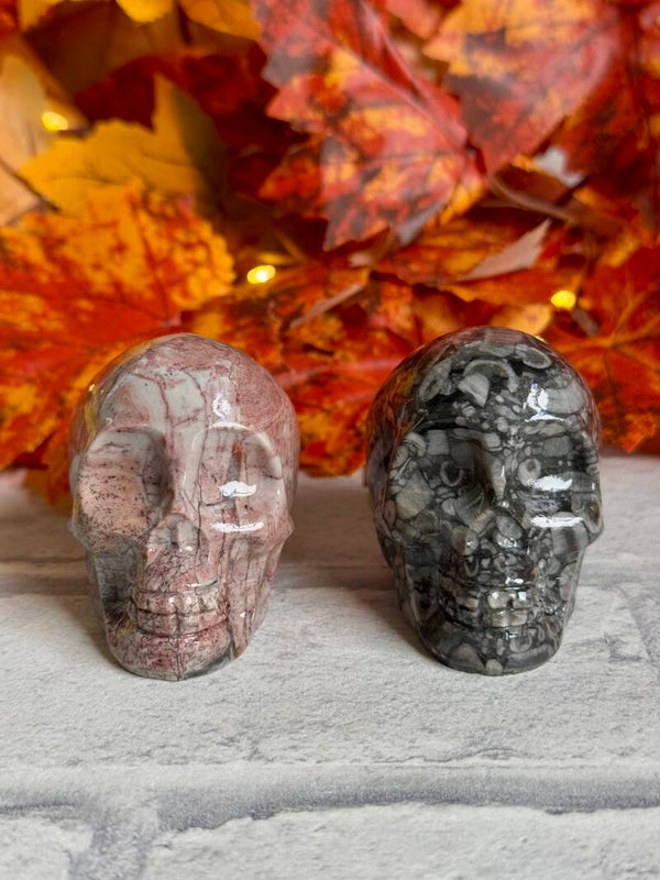Large Skull Carvings ✨
