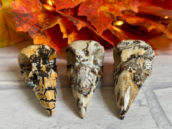 Large Picture Jasper Bird Skull Carvings ✨