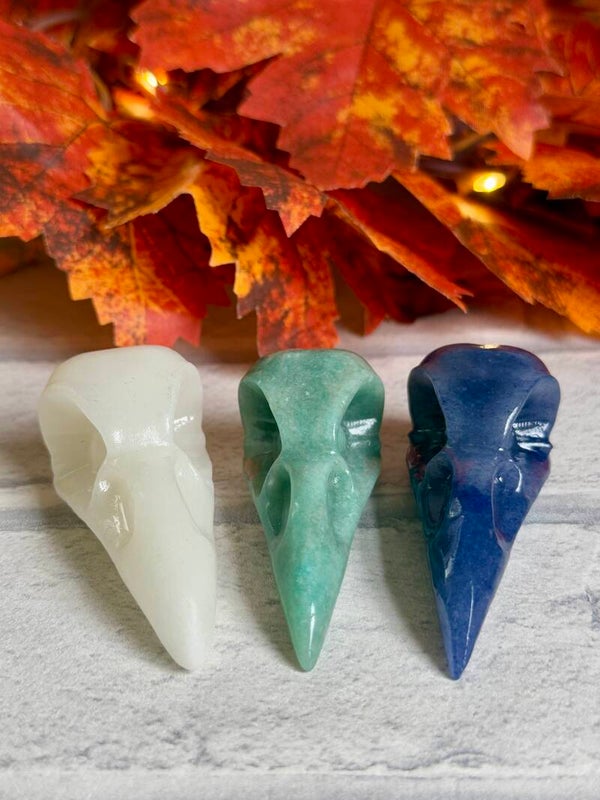 Bird Skull Carvings ✨