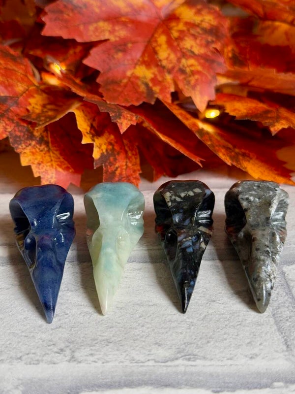 Bird Skull Carvings ✨