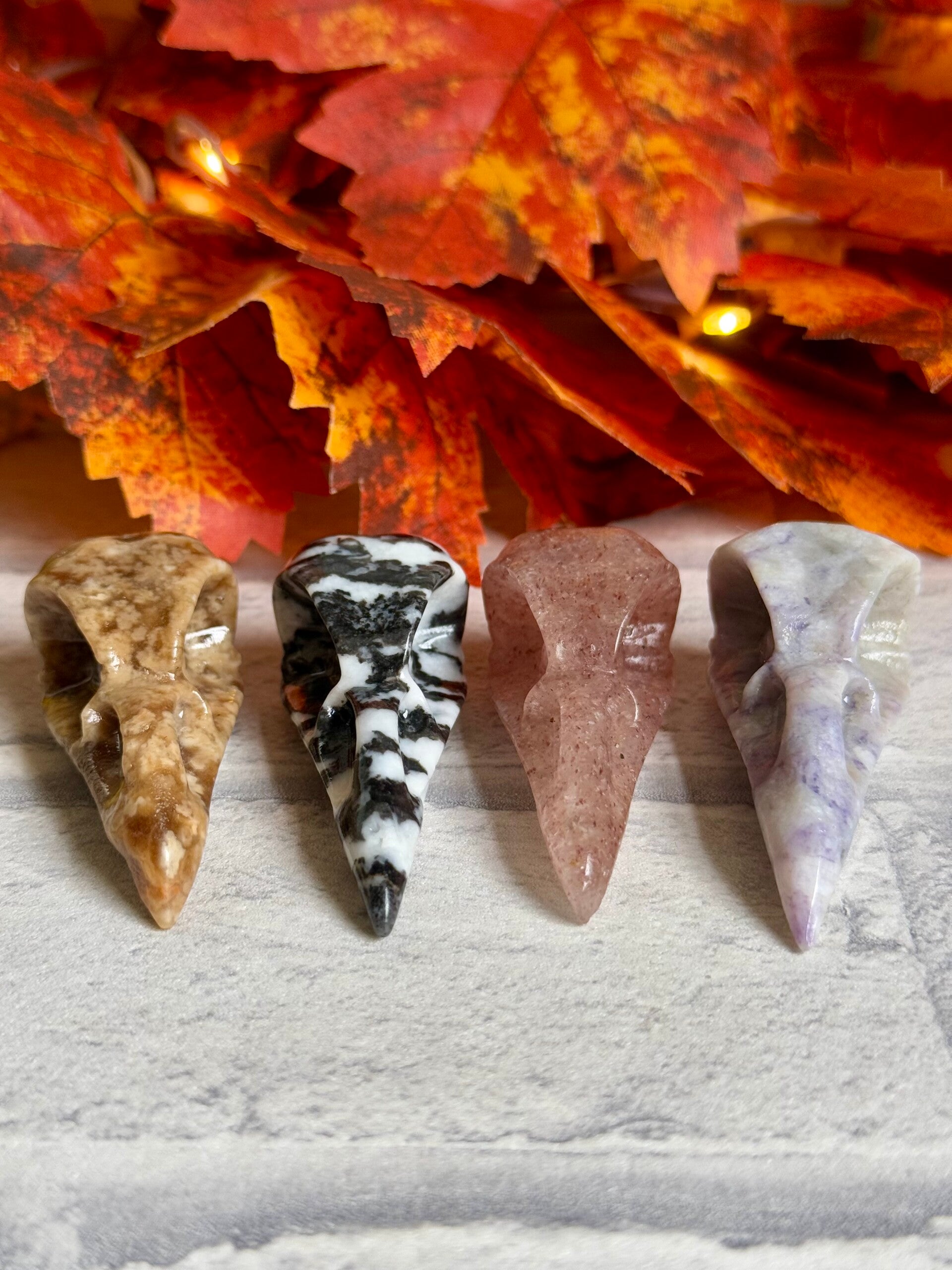 Bird Skull Carvings ✨