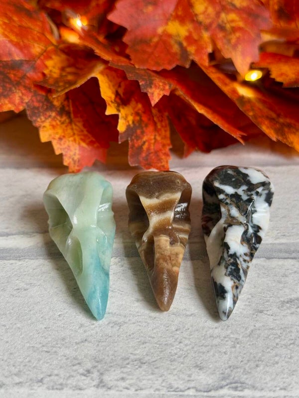 Bird Skull Carvings ✨