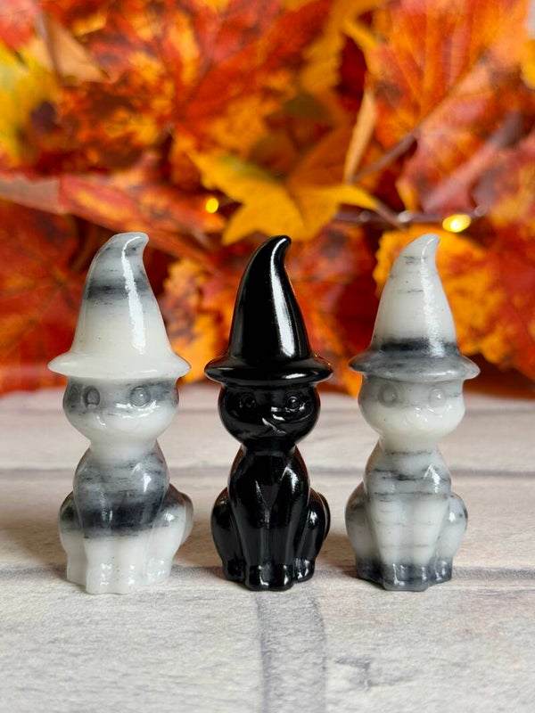 Witch Cat Carvings ✨