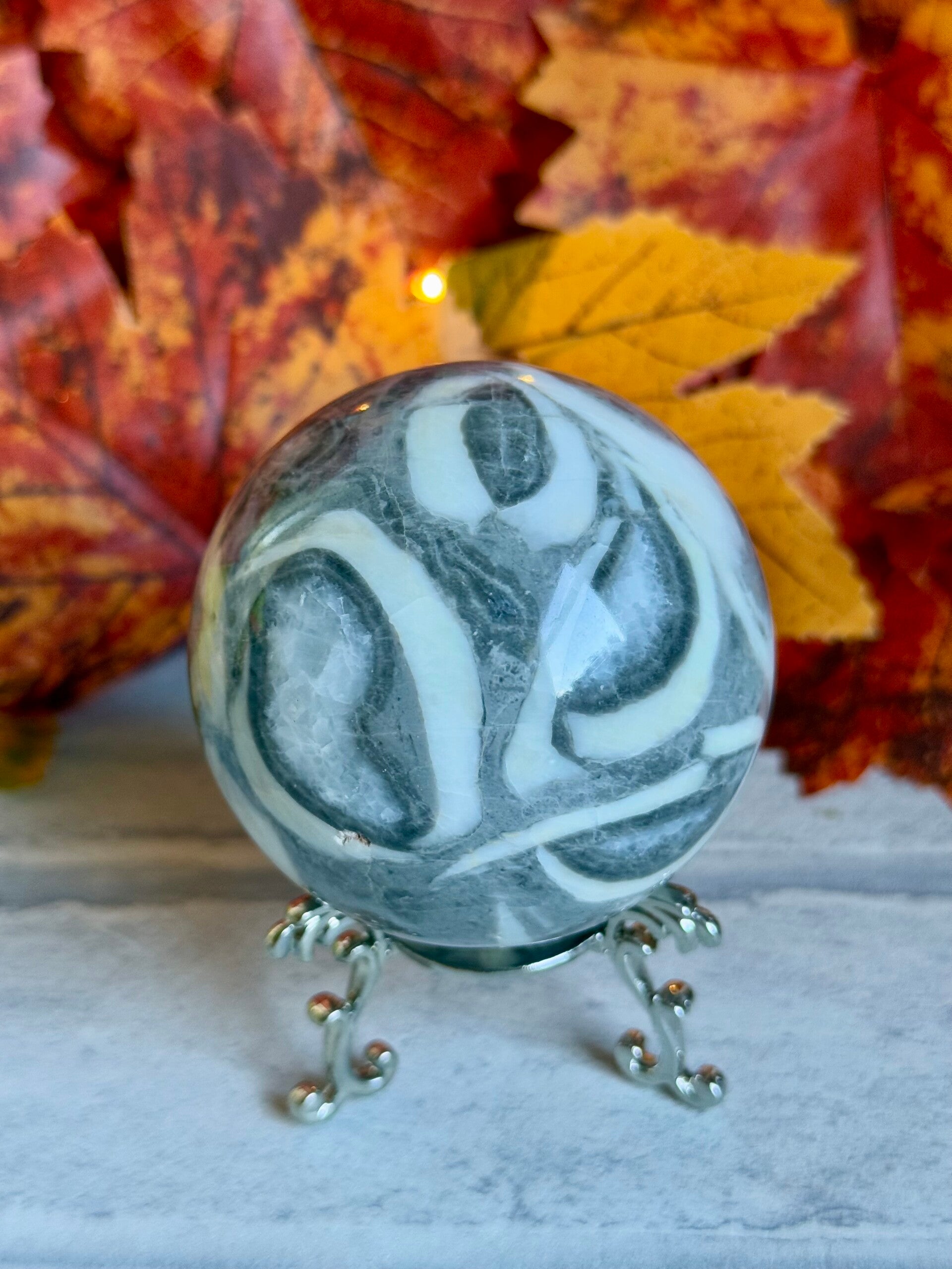 Shell Jasper Sphere ✨