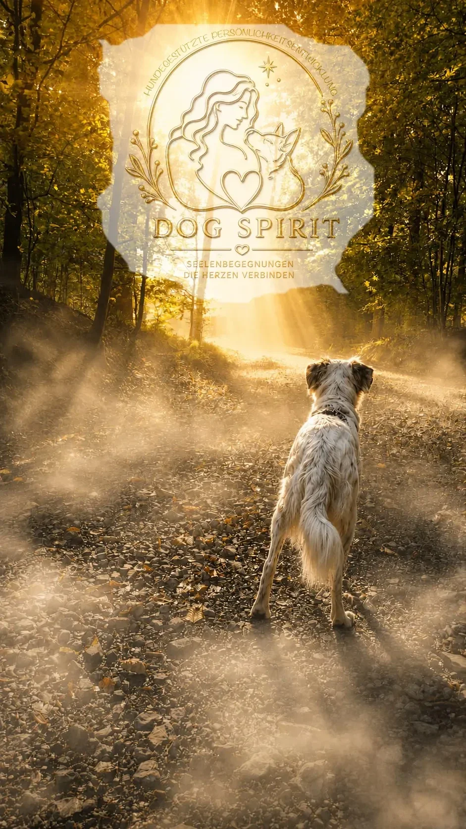 DOG SPIRIT Philosophie