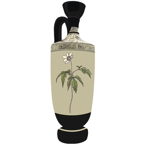 Flower Art Vase VI