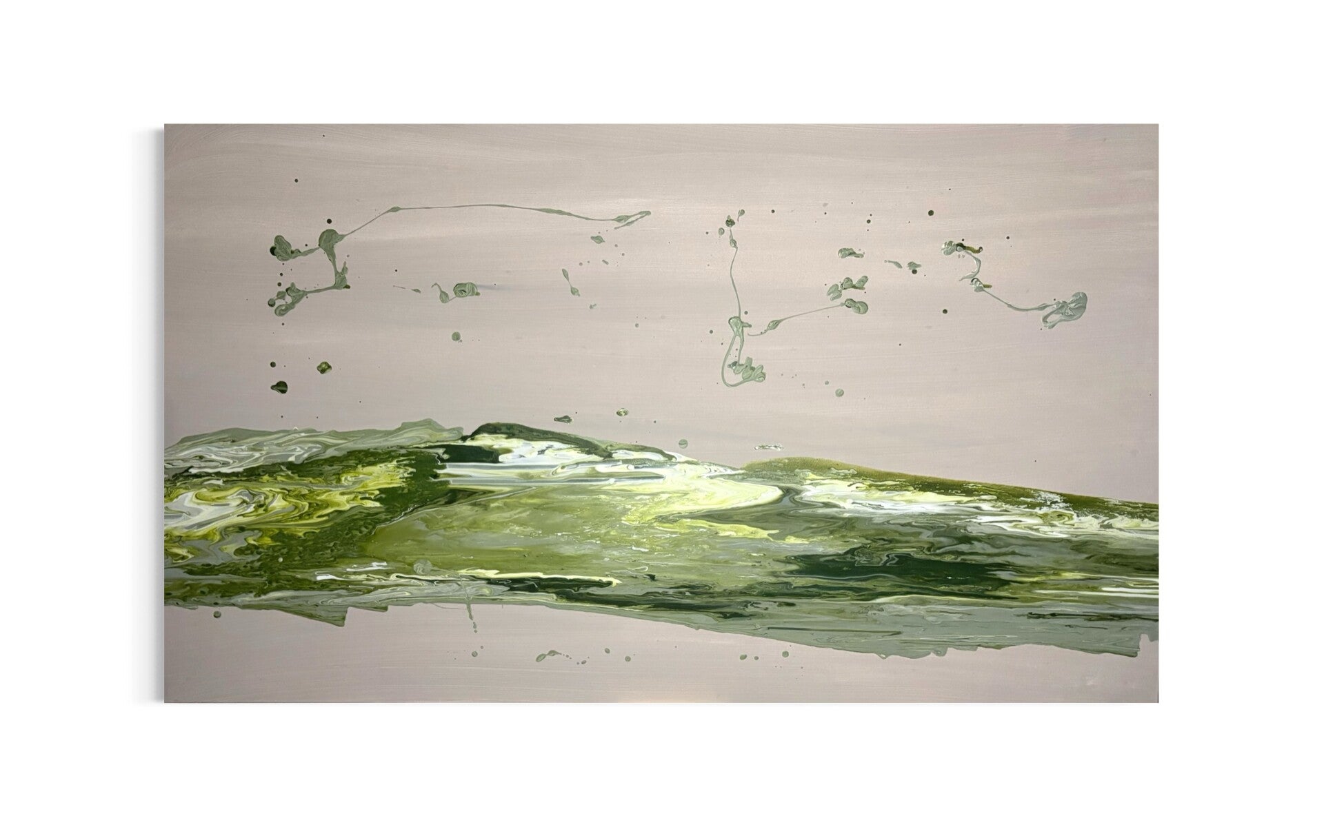 DUCKWEED