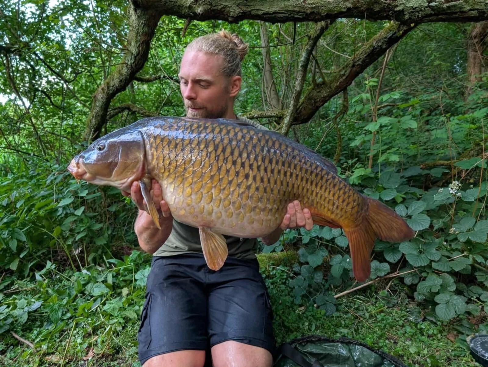 30lb common 