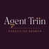 agenttriin.com