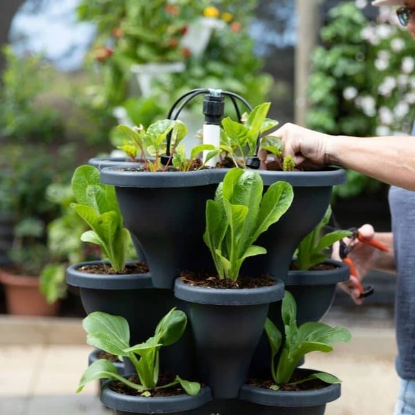 Verti Gro Planter (By special order)