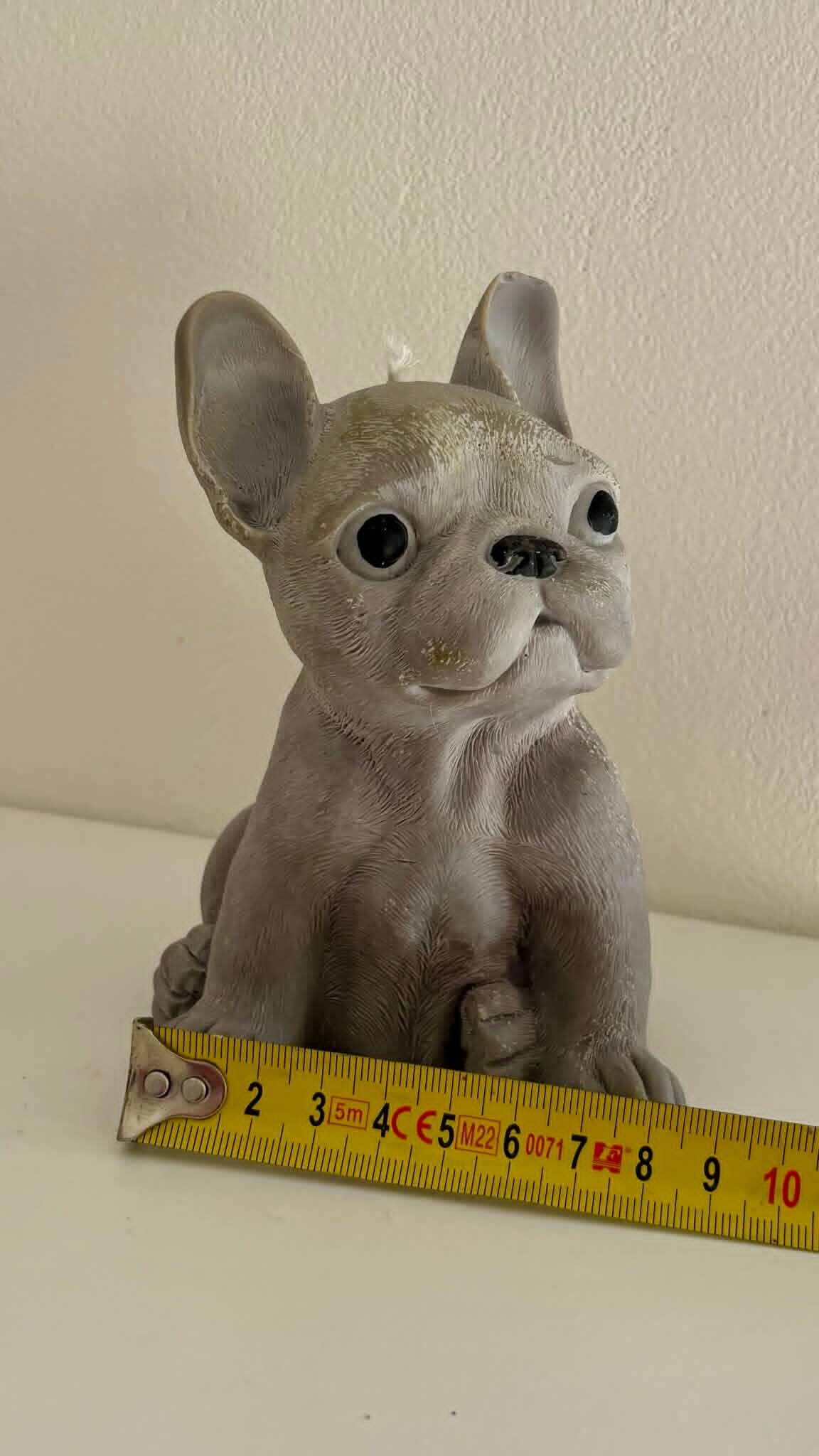 Franse Bulldog (Extra large)
