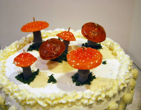 Birthday Candles
