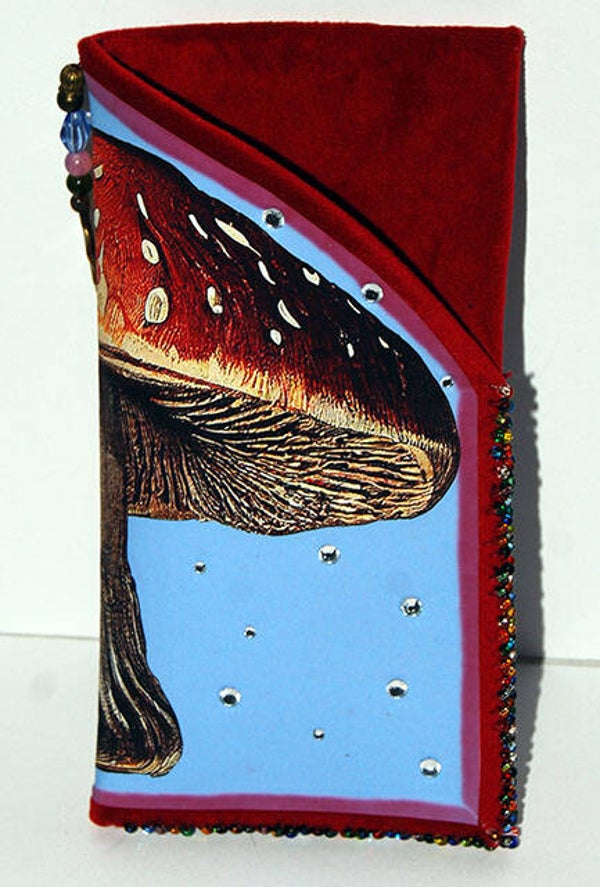 Glasses Case
