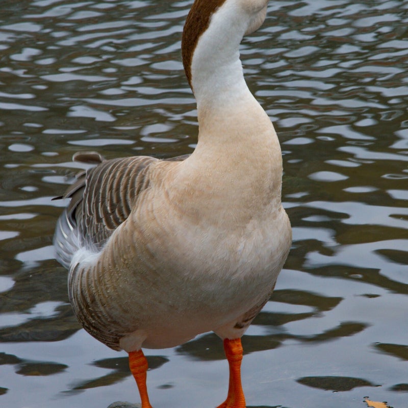 21_watermarked-1.jpg