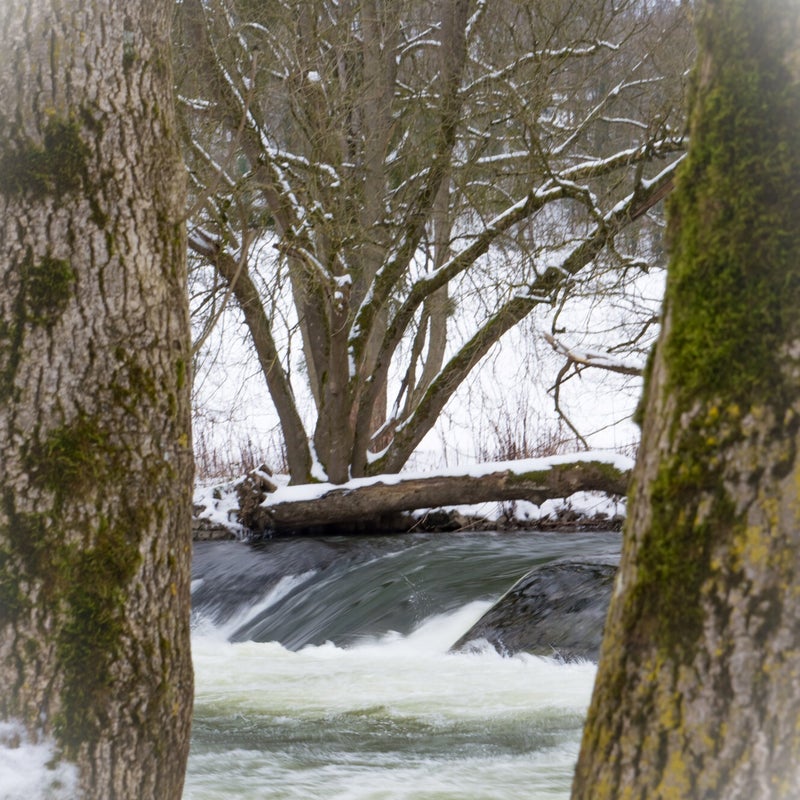18_watermarked-1.jpg