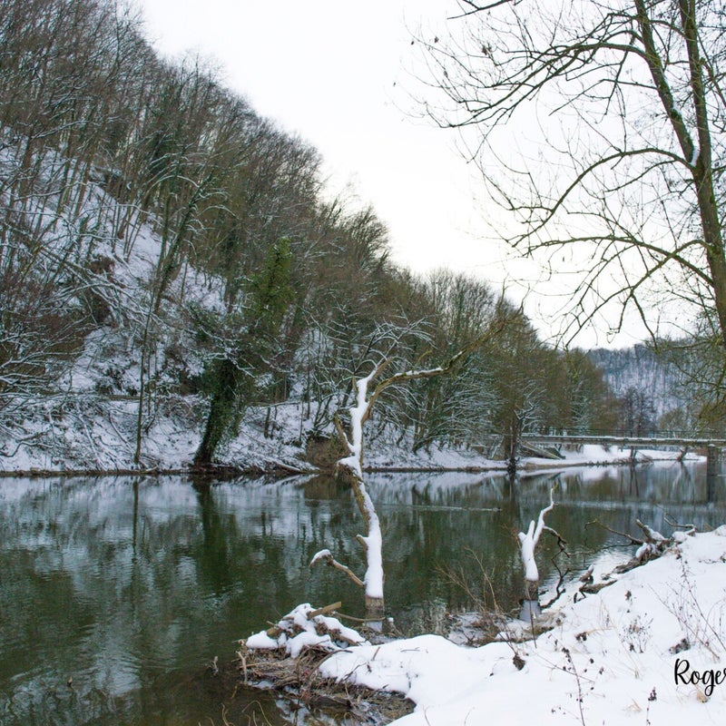 14_watermarked-1.jpg