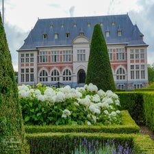 t06_watermarked-standard.jpg