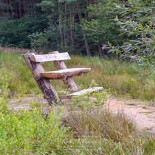 t23_watermarked-standard-krdisq.jpg