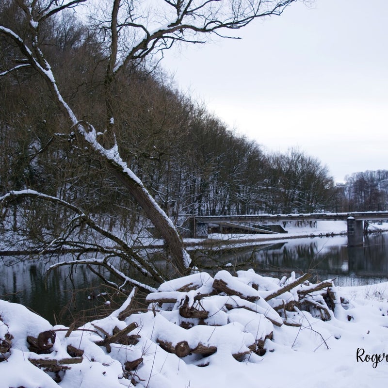 15_watermarked-1.jpg