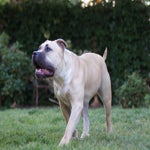 DSC08027.jpg