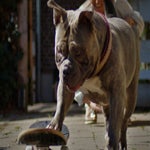 DSC07791-1.jpg