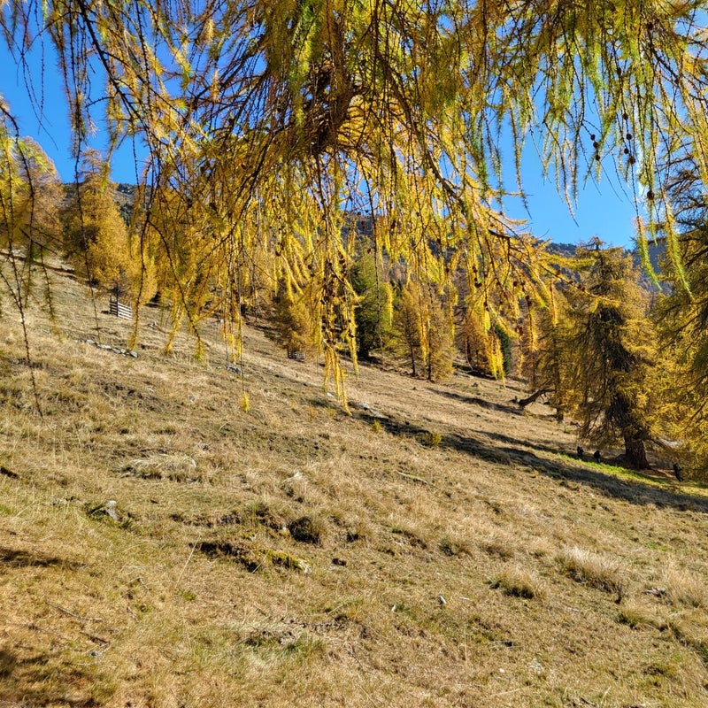 20221026_123242.jpg