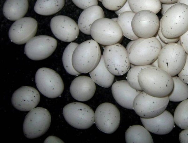 dekorative Eier Basteln Dekorieren 40 Stück ( 3cm ) Ostern Streudeko Ostereier