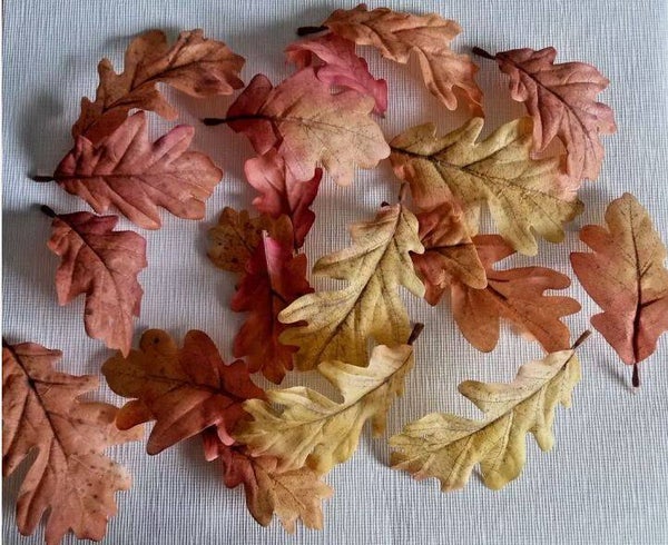 Herbstblätter 20 Eichenblätter Herbstfarben Laub div.. Größen 9x5,3 + 13,5cm neu