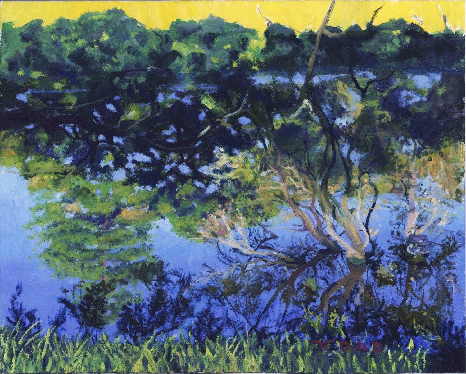 Reflections of Model Yatch Pond