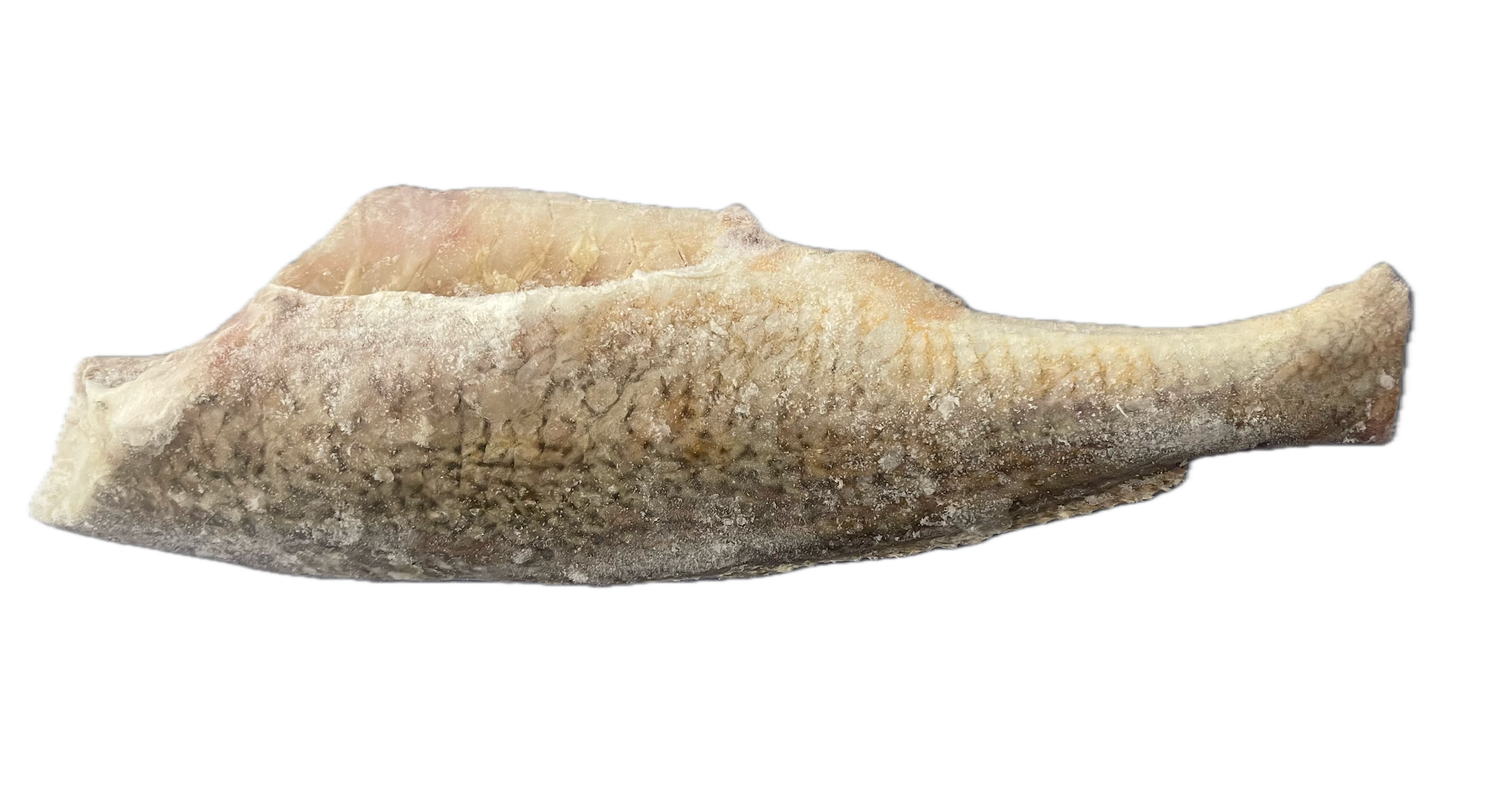 Croaker (No Head)