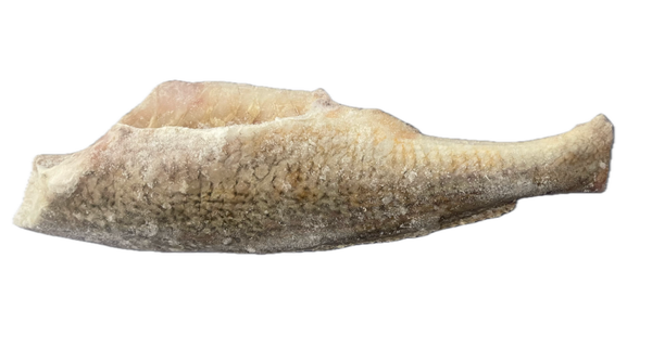 Croaker (No Head)