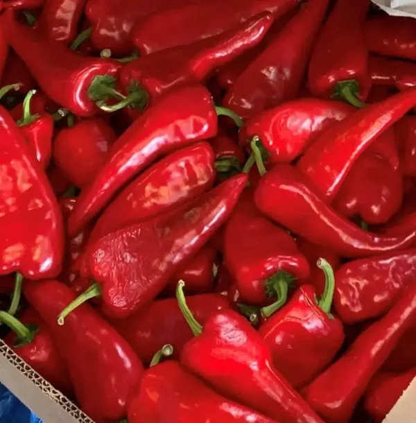 Frozen Crimson Pepper